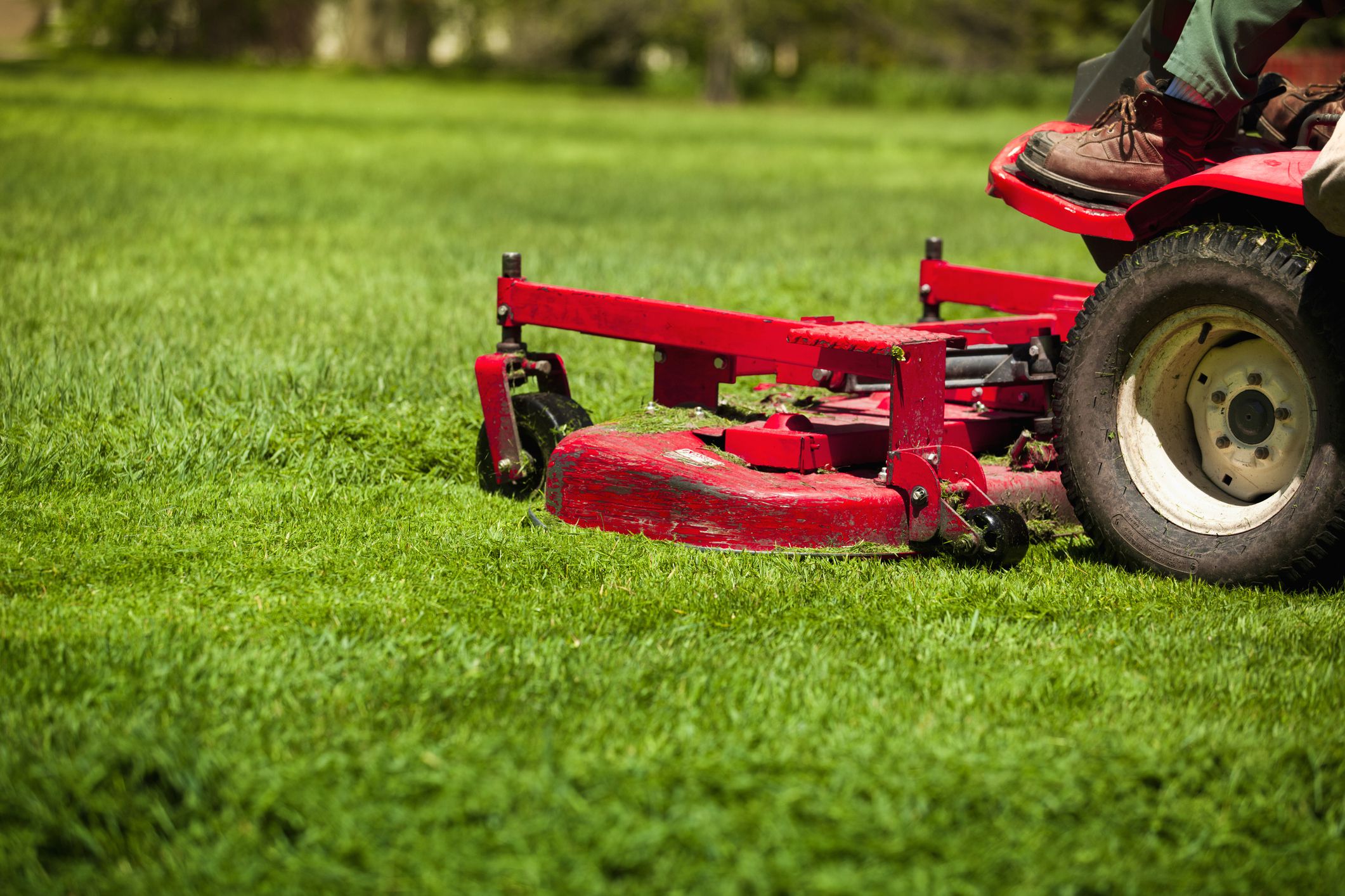 Red lawn mower cutting green grass